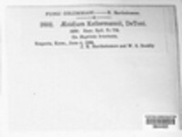 Image Associated With the Occurence
